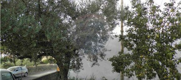 9 bedrooms House in Salgueiro do Campo, Portugal No. 63147 2