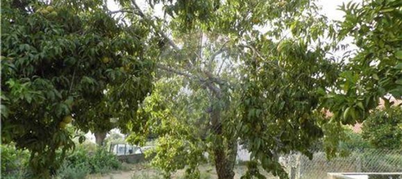 9 bedrooms House in Salgueiro do Campo, Portugal No. 63147 32