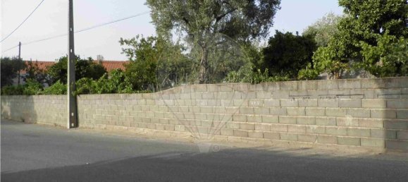 9 bedrooms House in Salgueiro do Campo, Portugal No. 63147 11