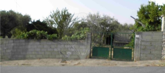 9 bedrooms House in Salgueiro do Campo, Portugal No. 63147 12