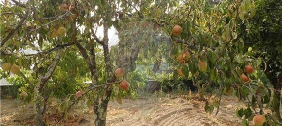 9 bedrooms House in Salgueiro do Campo, Portugal No. 63147 34