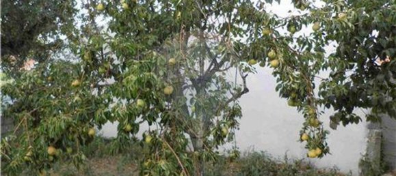 9 bedrooms House in Salgueiro do Campo, Portugal No. 63147 39