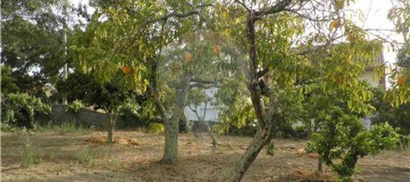 9 bedrooms House in Salgueiro do Campo, Portugal No. 63147 23