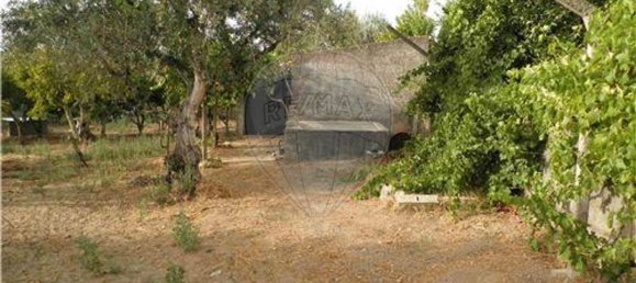 9 bedrooms House in Salgueiro do Campo, Portugal No. 63147 14