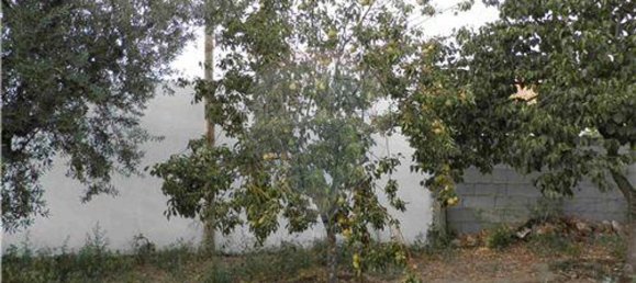 9 bedrooms House in Salgueiro do Campo, Portugal No. 63147 40