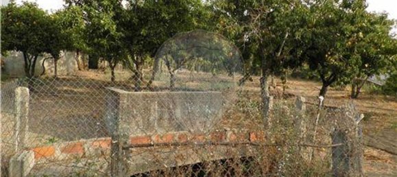 9 bedrooms House in Salgueiro do Campo, Portugal No. 63147 37