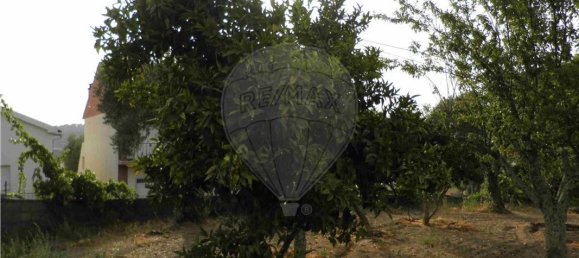 9 bedrooms House in Salgueiro do Campo, Portugal No. 63147 8