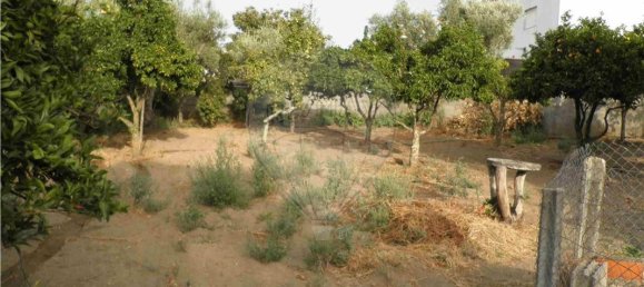 9 bedrooms House in Salgueiro do Campo, Portugal No. 63147 36