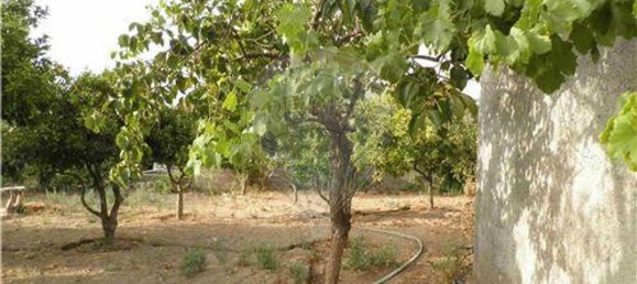 9 bedrooms House in Salgueiro do Campo, Portugal No. 63147 24