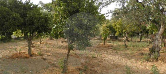 9 bedrooms House in Salgueiro do Campo, Portugal No. 63147 20