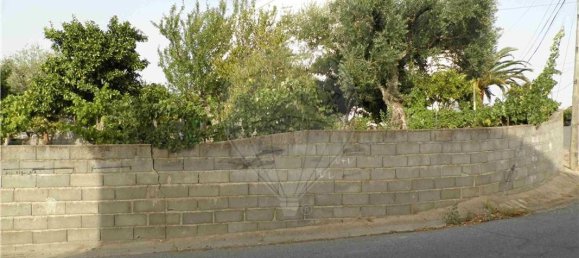 9 bedrooms House in Salgueiro do Campo, Portugal No. 63147 10