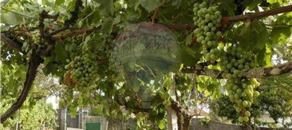 9 bedrooms House in Salgueiro do Campo, Portugal No. 63147 25