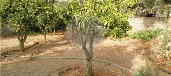 9 bedrooms House in Salgueiro do Campo, Portugal No. 63147 28