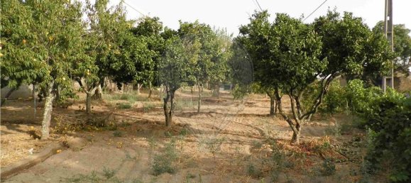 9 bedrooms House in Salgueiro do Campo, Portugal No. 63147 3