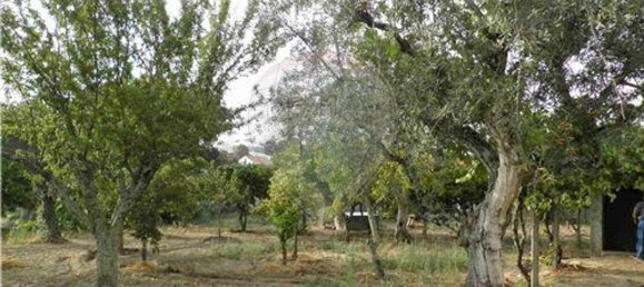 9 bedrooms House in Salgueiro do Campo, Portugal No. 63147 7