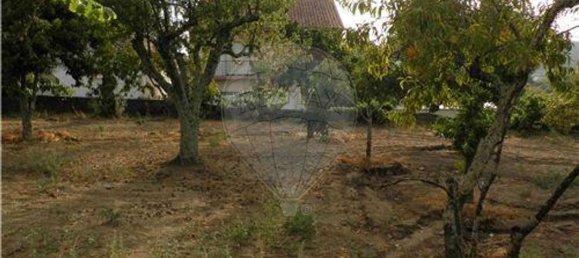 9 bedrooms House in Salgueiro do Campo, Portugal No. 63147 26