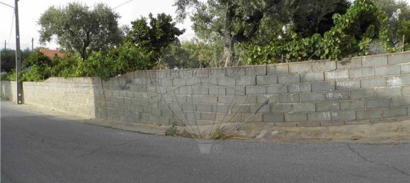 9 bedrooms House in Salgueiro do Campo, Portugal No. 63147 9