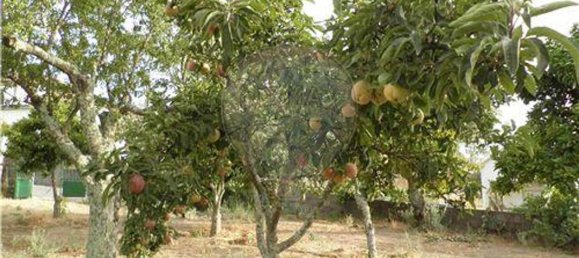 9 bedrooms House in Salgueiro do Campo, Portugal No. 63147 6