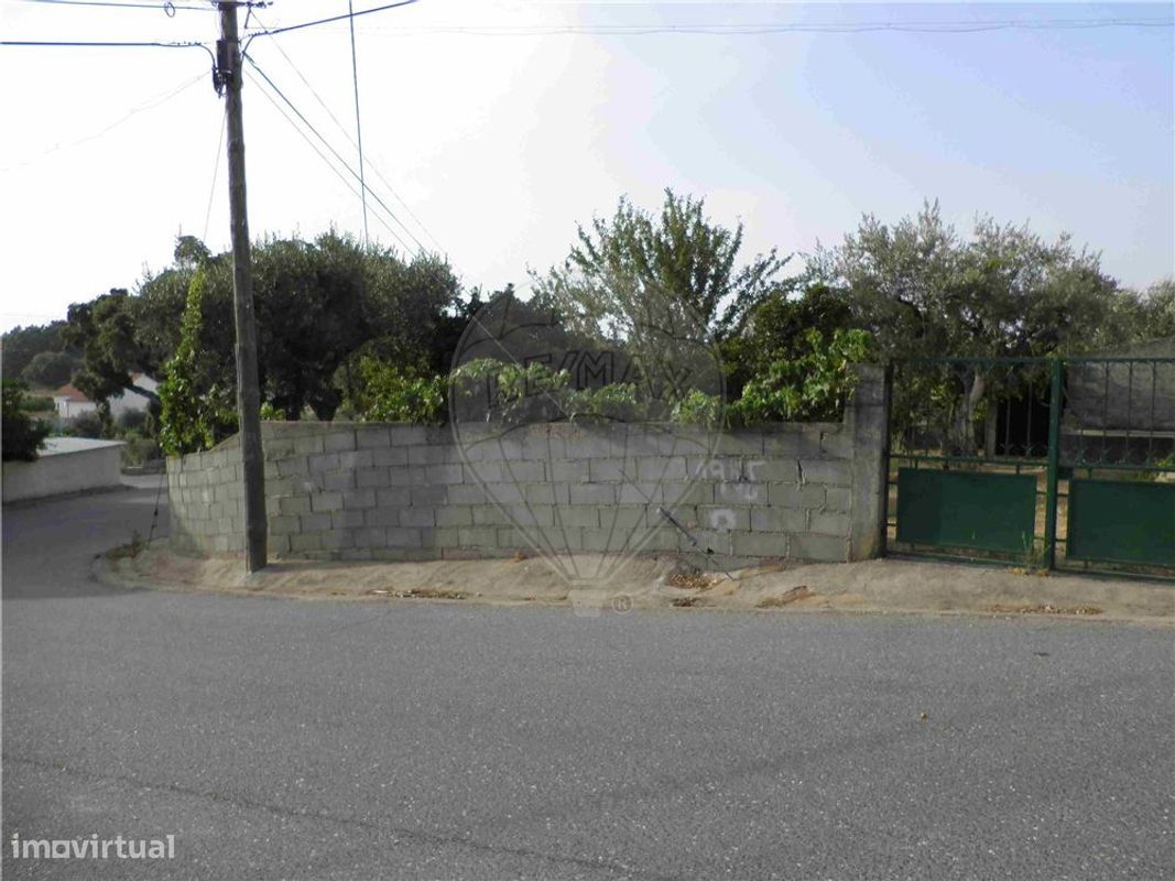 9 bedrooms House in Salgueiro do Campo, Portugal No. 63147