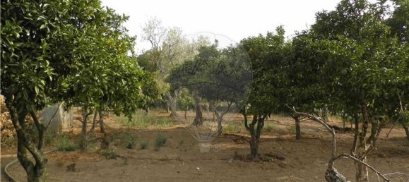 9 bedrooms House in Salgueiro do Campo, Portugal No. 63147 5