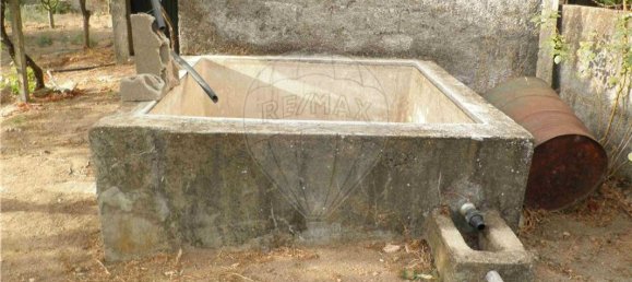 9 bedrooms House in Salgueiro do Campo, Portugal No. 63147 22