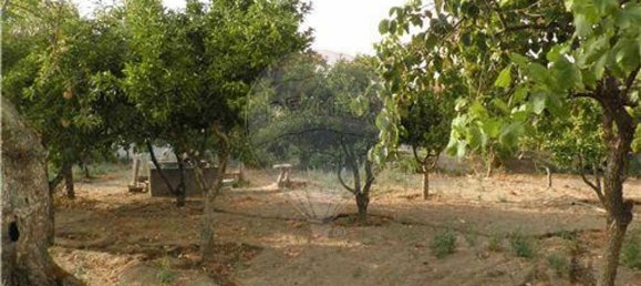 9 bedrooms House in Salgueiro do Campo, Portugal No. 63147 27