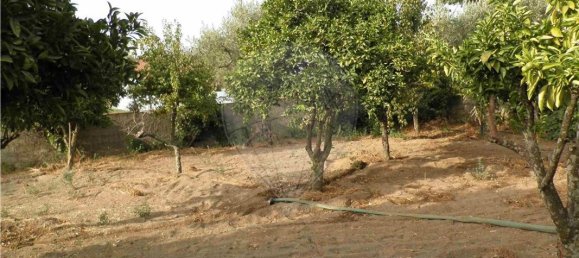 9 bedrooms House in Salgueiro do Campo, Portugal No. 63147 29