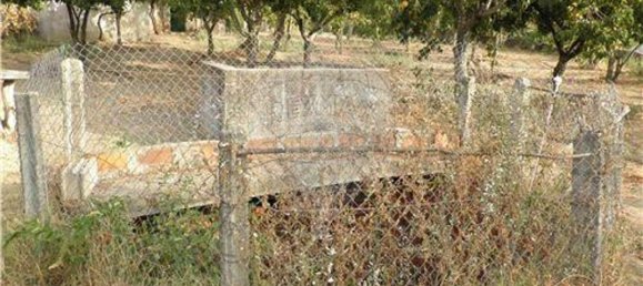 9 bedrooms House in Salgueiro do Campo, Portugal No. 63147 38