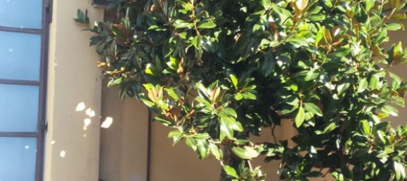 3000m² Land in Nichelino, Italy No. 124819 32