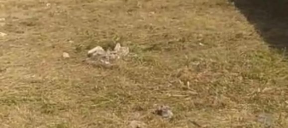 Земельный участок 600м² в Монтрой, Испания № 164985 4