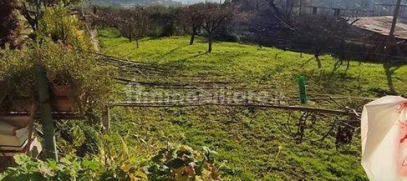 5 bedrooms House in Taggia, Italy No. 293132 12