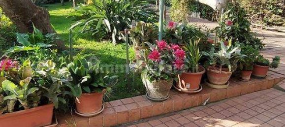 5 bedrooms House in Taggia, Italy No. 293132 3