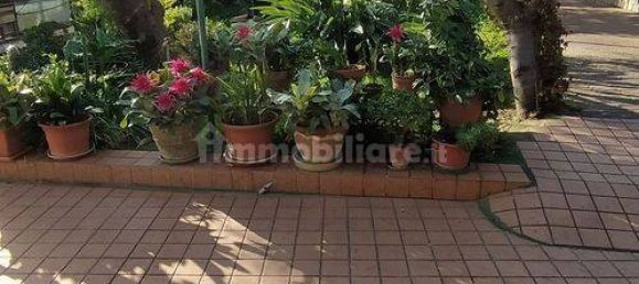 5 bedrooms House in Taggia, Italy No. 293132 10