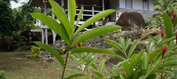 3 bedrooms Land in La Plaine, Dominica No. 22 15