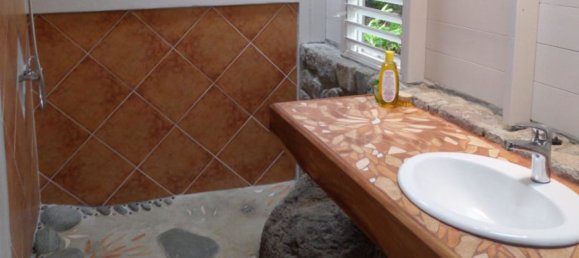 3 bedrooms Land in La Plaine, Dominica No. 22 13