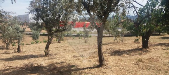 4 غرف نوم منزل في Serta, Portugal رقم 31299 9