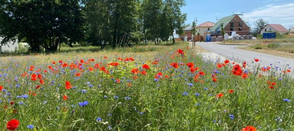 Terreno em Barnim, Germany N.º 276755 2