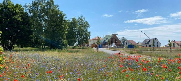 Terreno em Barnim, Germany N.º 276755 4