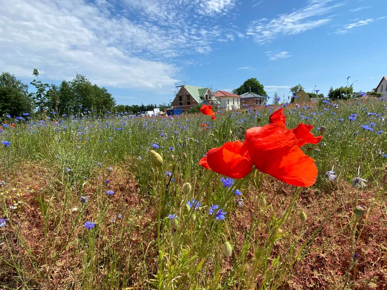 Terreno em Barnim, Germany N.º 276755