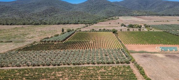 16 bedrooms Hotel in Grosseto, Italy No. 309815 42