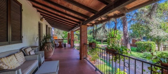 16 bedrooms Hotel in Grosseto, Italy No. 309815 20