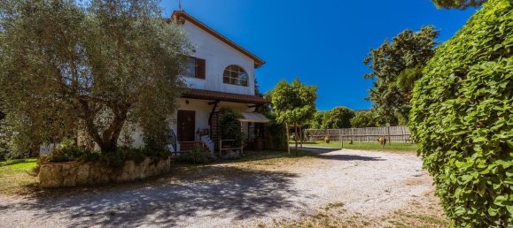 16 bedrooms Hotel in Grosseto, Italy No. 309815 9