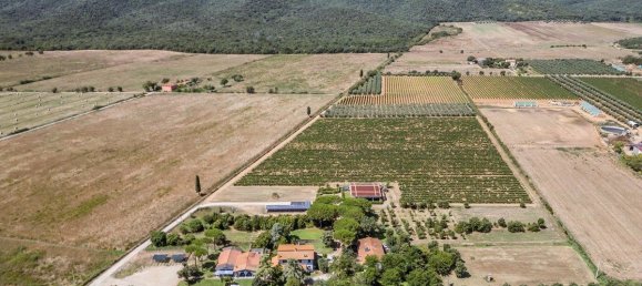 16 bedrooms Hotel in Grosseto, Italy No. 309815 10