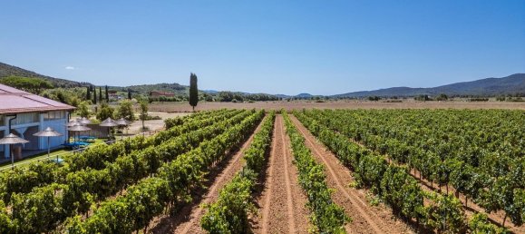 16 bedrooms Hotel in Grosseto, Italy No. 309815 41