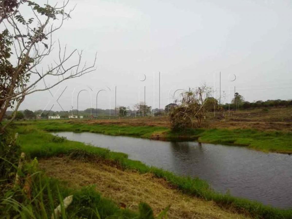  Land in Veracruz, Mexico No. 207062