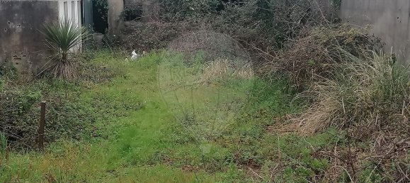 1552m² Warehouse in Pacos de Brandao, Portugal No. 90387 3