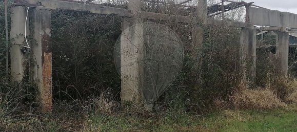 1552m² Warehouse in Pacos de Brandao, Portugal No. 90387 6