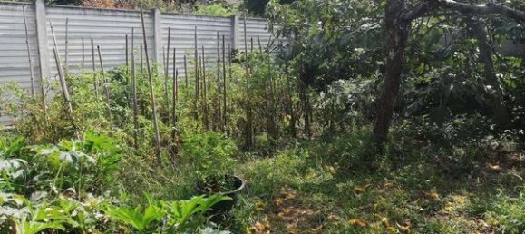 3 rooms House in Mortara, Italy No. 5774 12