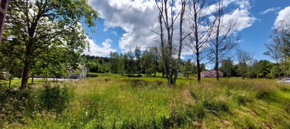 Terrain à Saulcy-sur-Meurthe, France 1741m² No. 260438 3