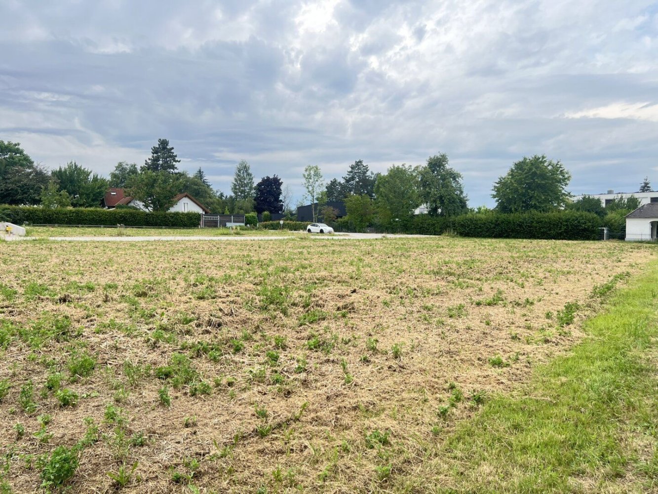 Land in Thalheim bei Wels, Austria No. 126653